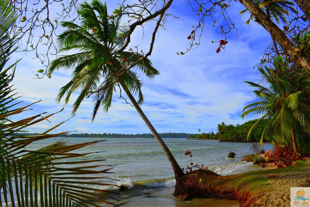 Bocas Reef Hotel Bocas del Toro Exterior foto